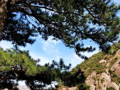 -大唐不夜城-开元广场