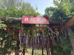 -雪山彩虹谷景区