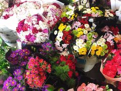 -秦美花卉(天朗·莱茵小城2期店)