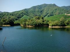 -龙坞茶村