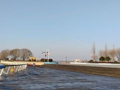 -贡湖湾湿地公园
