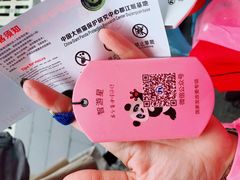 -都江堰中华大熊猫苑