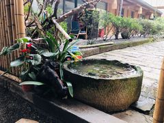 -乐领拈花溪·林涧食韵