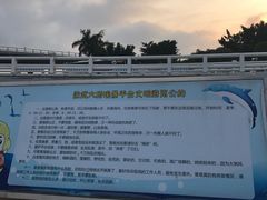 -演武大桥观景平台