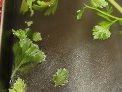 -盡膳口福跷脚牛肉火锅(合生汇购物中心店)