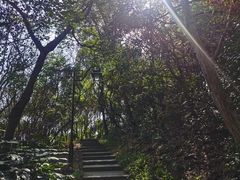 -杭州半山国家森林公园