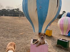 -武汉紫薇都市田园
