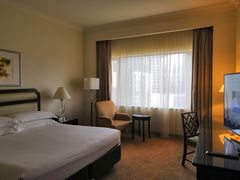 -新加坡乌节希尔顿酒店 (SG Clean)