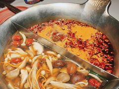 -九鼎轩脆毛肚火锅(三钢里店)
