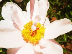 -长春公园(普阳街道)