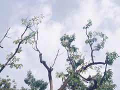 -遵化汤泉宫度假村温泉