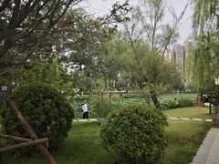 -渭滨公园