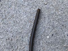 -碓臼峪自然风景区