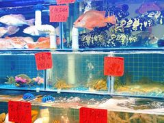 -40号厦门海鲜大排档(中山路店)