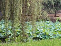 -韶山毛泽东同志故居