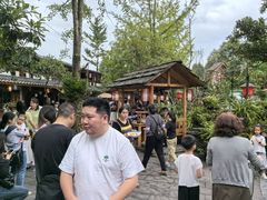 -青城甲(青城山店)