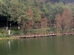 -重庆彩云湖湿地公园