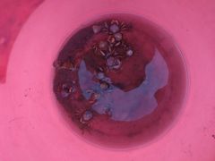 -红树林天天赶海