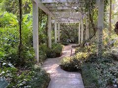 -广西壮族自治区药用植物园