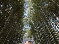 -竹泉村旅游度假区