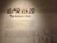 -平顶山博物馆