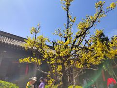 -胡氏古民居建筑