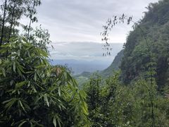 -蜀南竹海景区