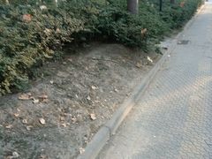 -茶肆(袁家村店)