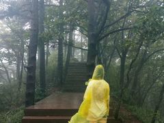 -罗田薄刀峰风景区