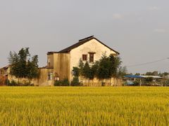 -嘉北郊野公园