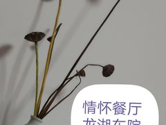 -龙湖东院农庄(乡间小路店)