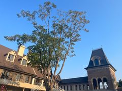 -中旅阿那亚九龙湖·公主酒店