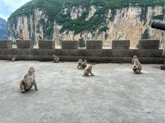 -白帝城·瞿塘峡景区