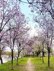 -梓爱月子中心(花都店)