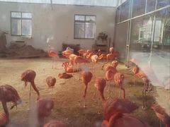 -秦皇岛野生动物园