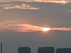 -瑶湖郊野森林公园