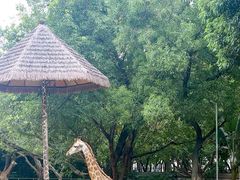 -深圳野生动物园