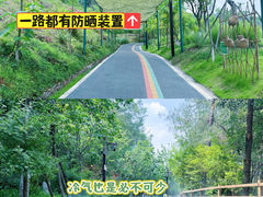 -黄龙溪欢乐田园