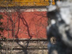 -梅花山(明孝陵内)