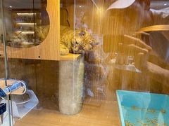 -Pets First伊珊娜洗护·精致美容·家庭式寄养(新会路店)