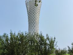 -上海滨江森林公园