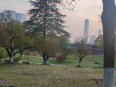 -白塘生态植物园
