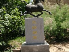 -武清南湖绿博园