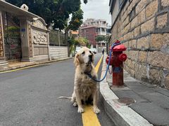 -溪岸路花鸟市场