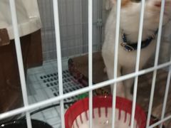 -杜勒瓦DIY烘焙&个性化蛋糕定制