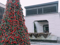 -上海崇明金茂凯悦酒店