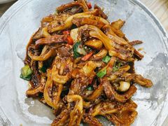 牛肚烧鸭掌-英子家庭菜馆(系马桩店)