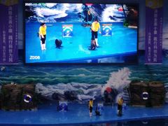 -多彩贵州城极地海洋世界