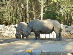 -北京野生动物园