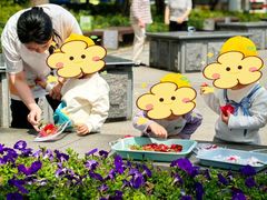 -豆初托育园 Baby Bean Day care Center